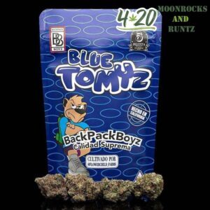 Buy Blue Tomyz Backpack Boyz online