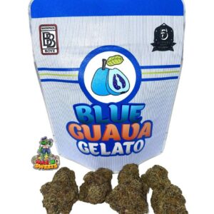 Buy Blue Guava Gelato Backpack Boyz online