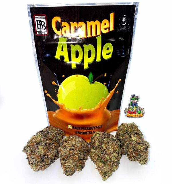 Buy Caramel Apple Backpack Boyz online
